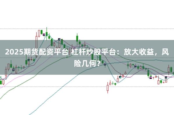 2025期货配资平台 杠杆炒股平台:放大收益,风险几何?